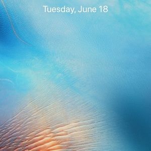 Meet your Posher, Miriam